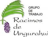 Logo-Racimos Ungurahui