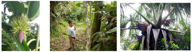 image-projet-devdurable-chacra1