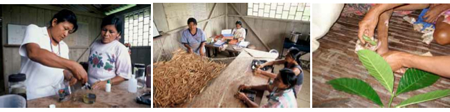 image-projet-santeedu-medecineshuar