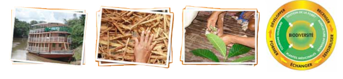 image-projet-santeedu-selva